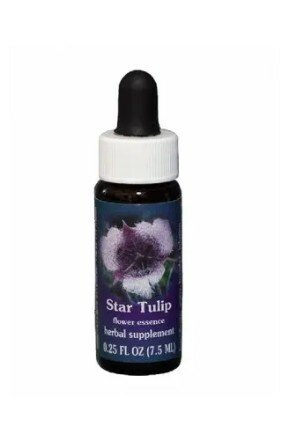 START TULIP ESS 7,4ML CALF-1