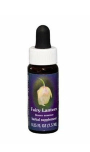 FAIRY LANTERN ESS 7,4ML CALF-1