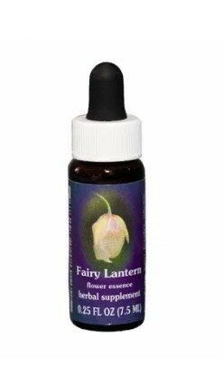 FAIRY LANTERN ESS 7,4ML CALF-1