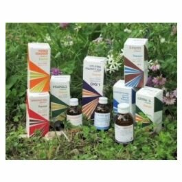Raemil Betulla Macerato Idroalcolico 50ml-1