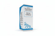 Ficus Lindas Gocce 50 ml