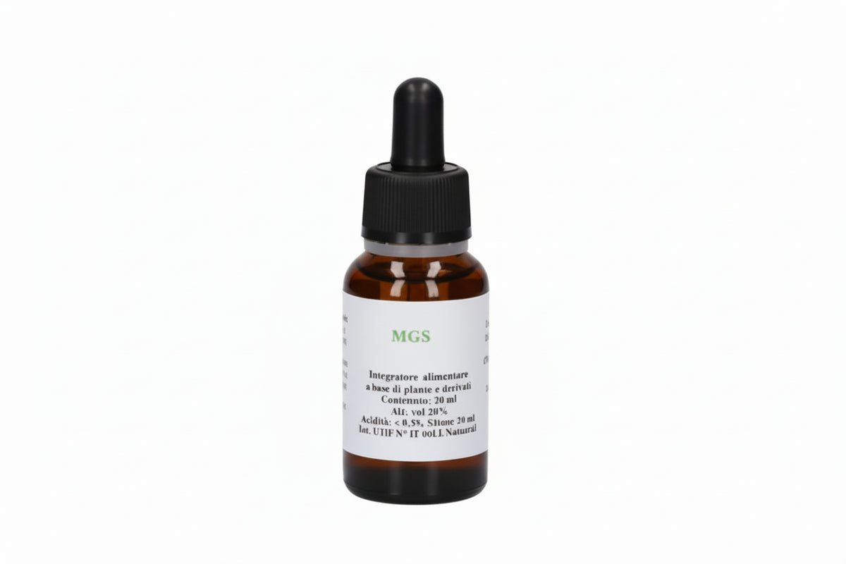 Alkaest Pioppo Macerato Glicerico SPG 20ml
