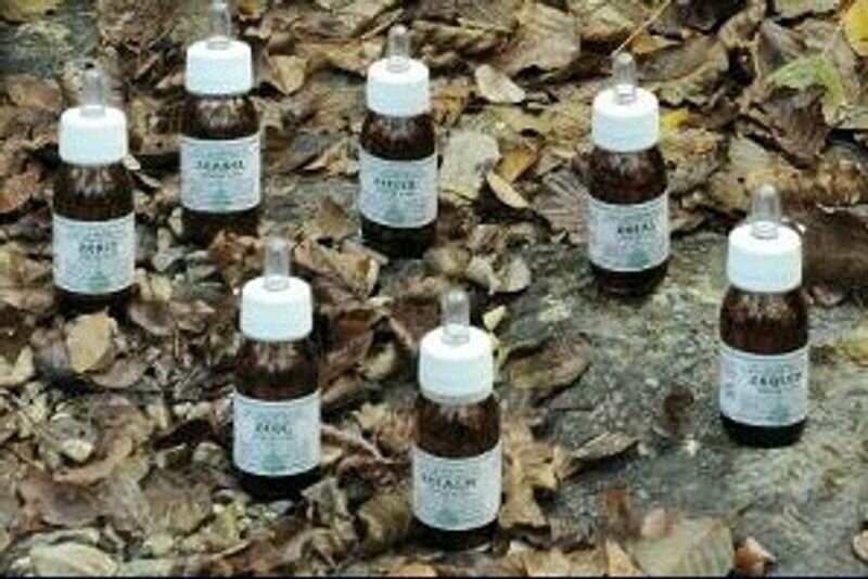 Alchemica MO18 Rosmarino Oleolito da Massaggio 30ml-1
