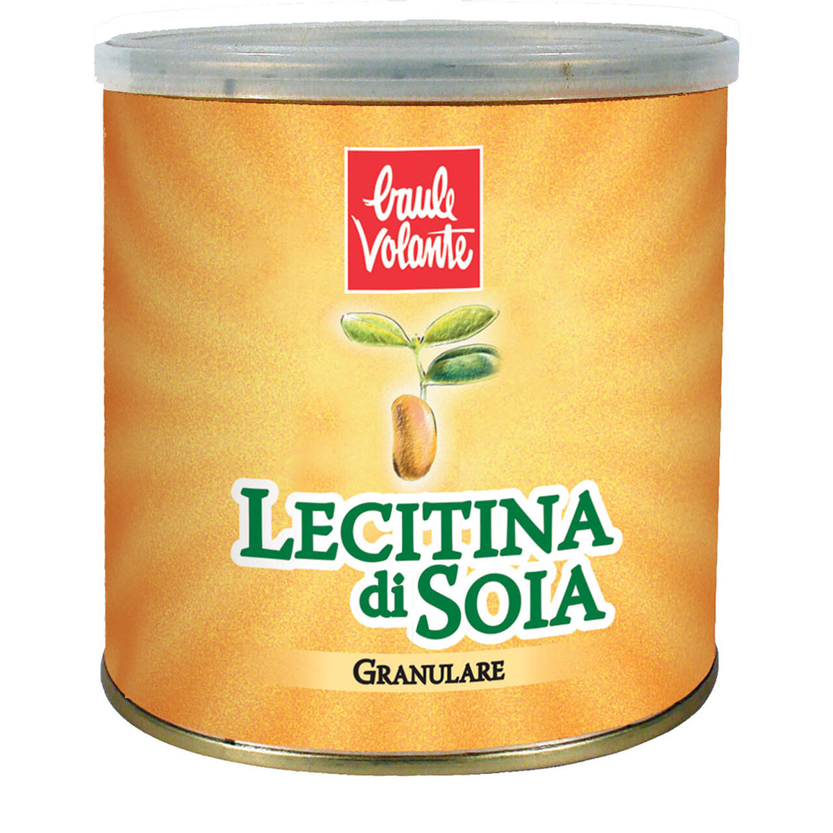 LECITINA SOIA 250G