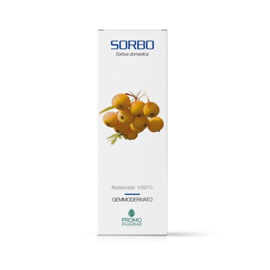SORBO GEMMODERIVATO 50ML-1