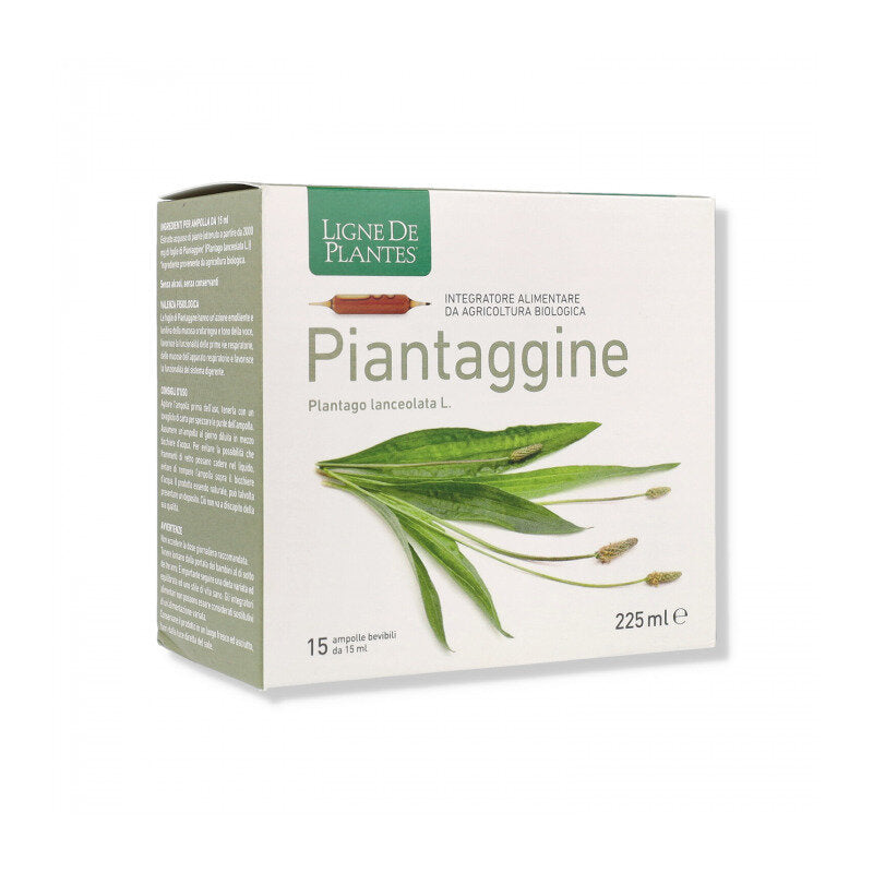 Ligne De Plantes Piantaggine Bio 15 Ampolle-1