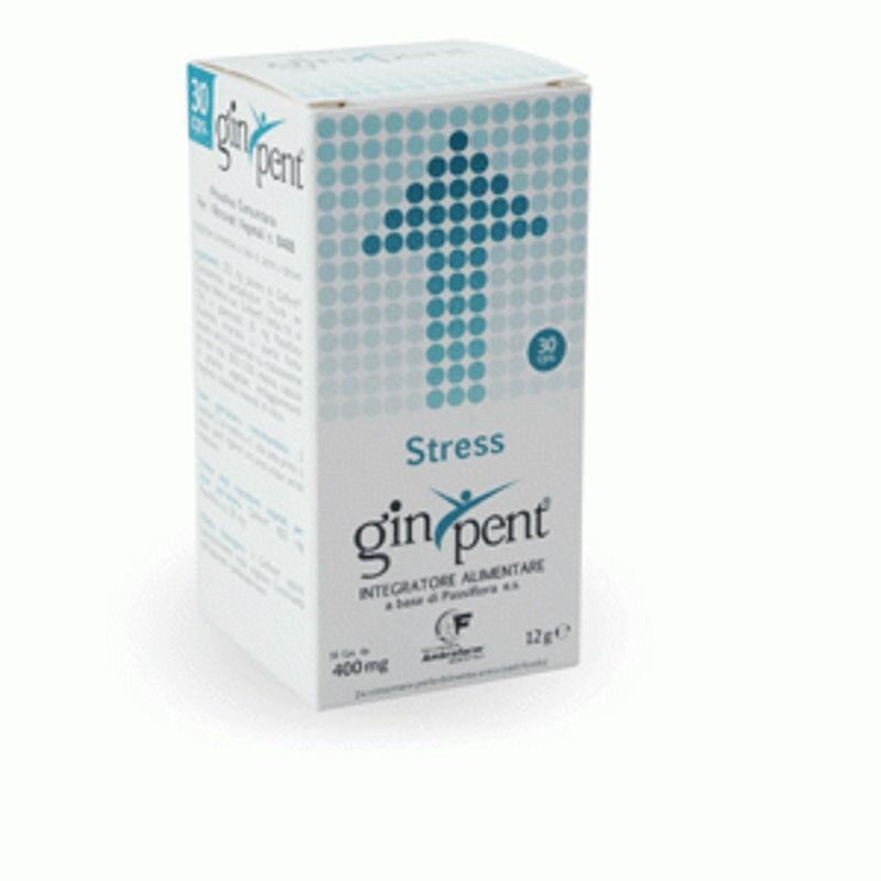 Ginpent Stress 120 capsule-1