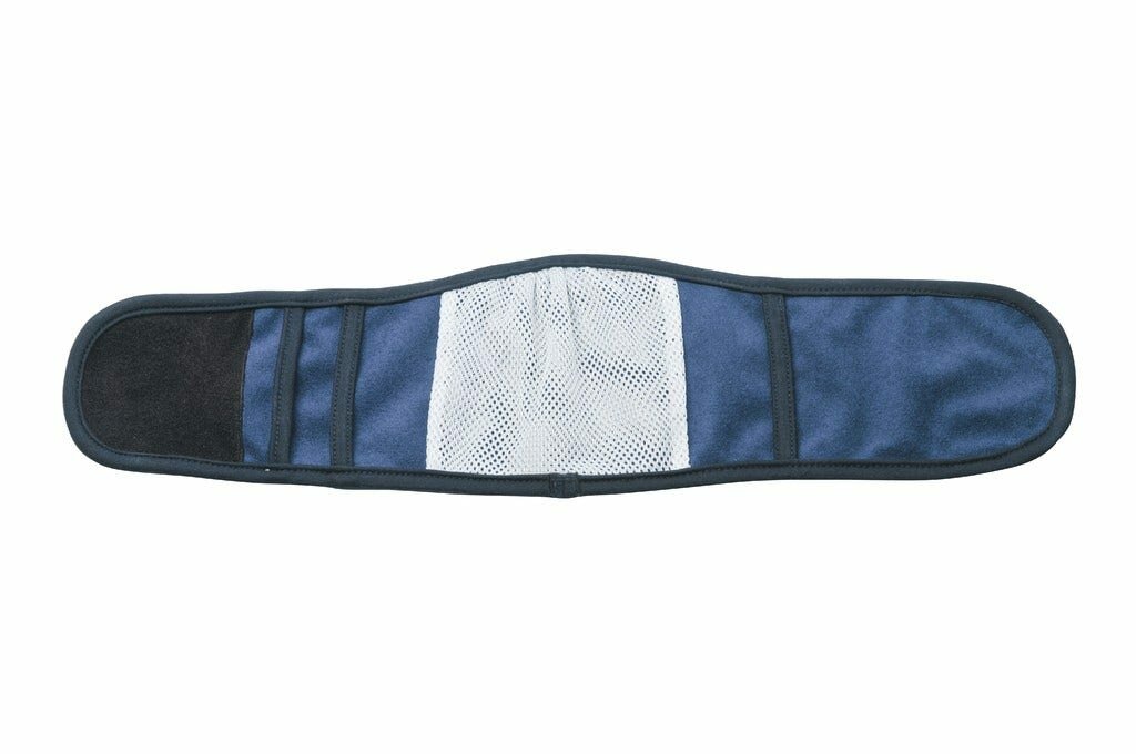 FASCIA CANI MASCHI BLU 5-1