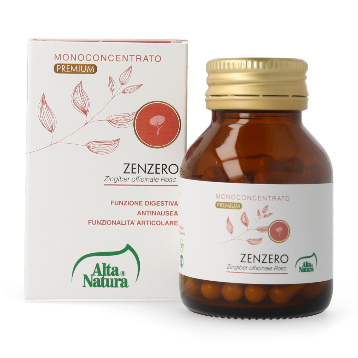 Alta Natura Zenzero Terranata 60 Capsule-1