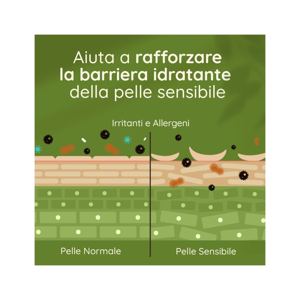 Aveeno Daily Moisturising Crema Idratante Corpo Lavanda 300ml-15