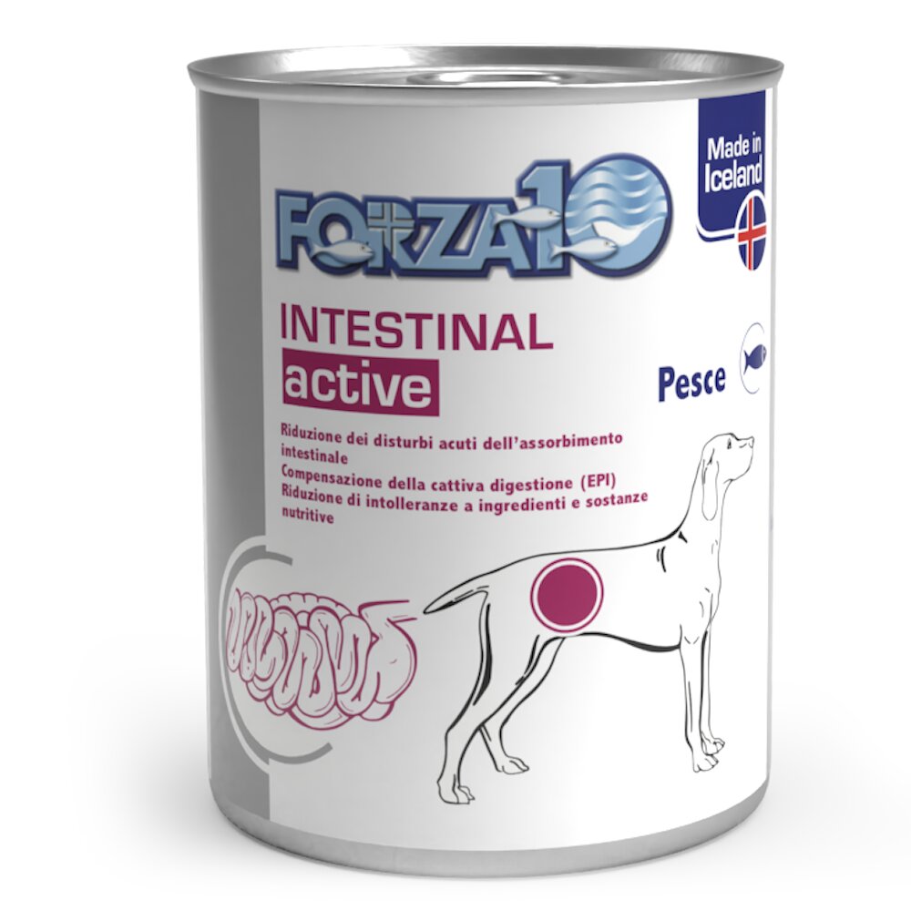FORZA10 INTESTINAL CANE 390G-1