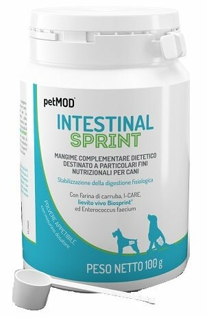 PETMOD INTESTINAL SPRINT 100G-1