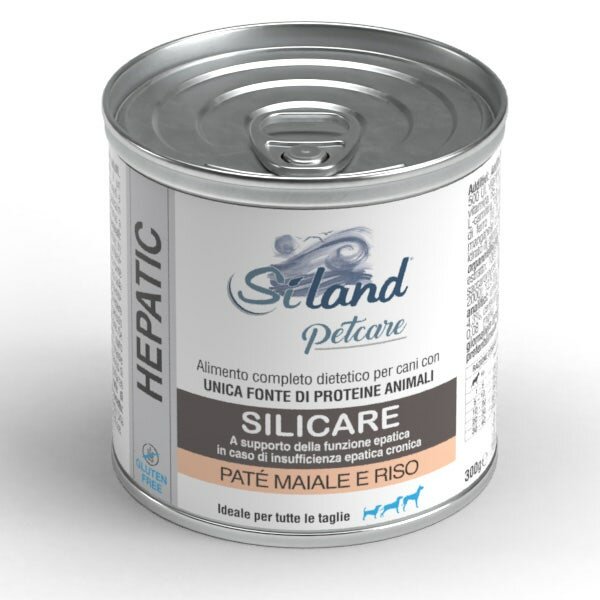 SILAND SILICAR CANE MAI RI300G-1