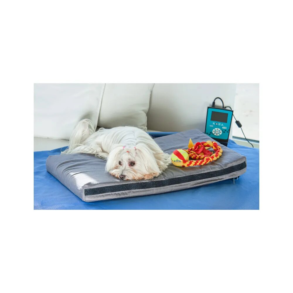 Kora Kit Base Magnetoterapia Cani/Gatti-5
