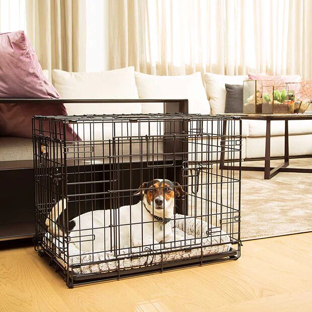 Ferplast Dog Inn Box Pieghevole Per Cani Taglia 60-3