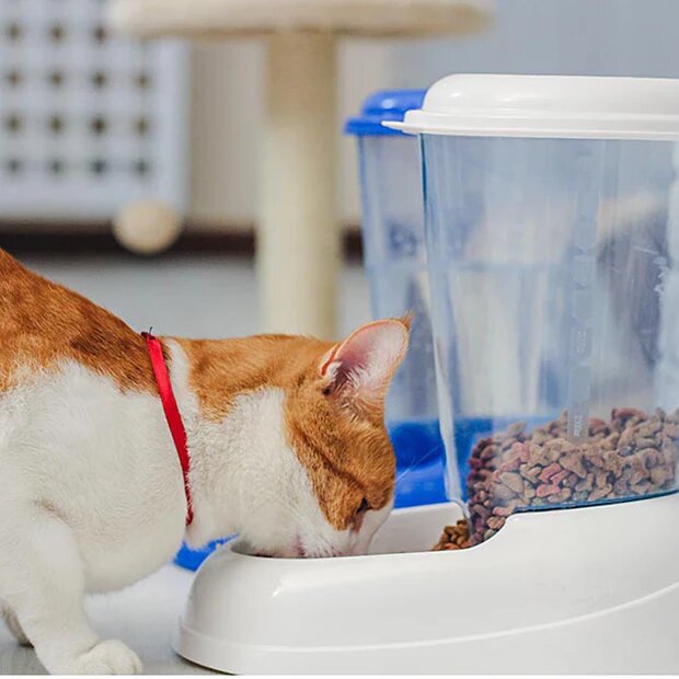 Zenith Distributore Di Crocchette Per Cani E Gatti 3l-2