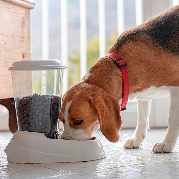 Zenith Distributore Di Crocchette Per Cani E Gatti 3l-3