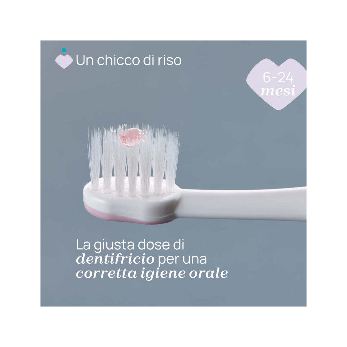 Chicco Spazzolino Primi Denti 6-36 Mesi Lilla 1 Pezzo-3