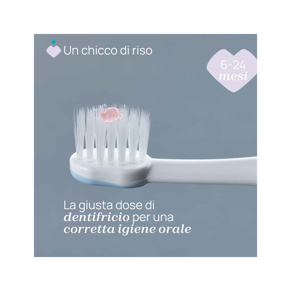 Chicco Spazzolino Primi Denti 6-36 Mesi Indigo 1 Pezzo-3