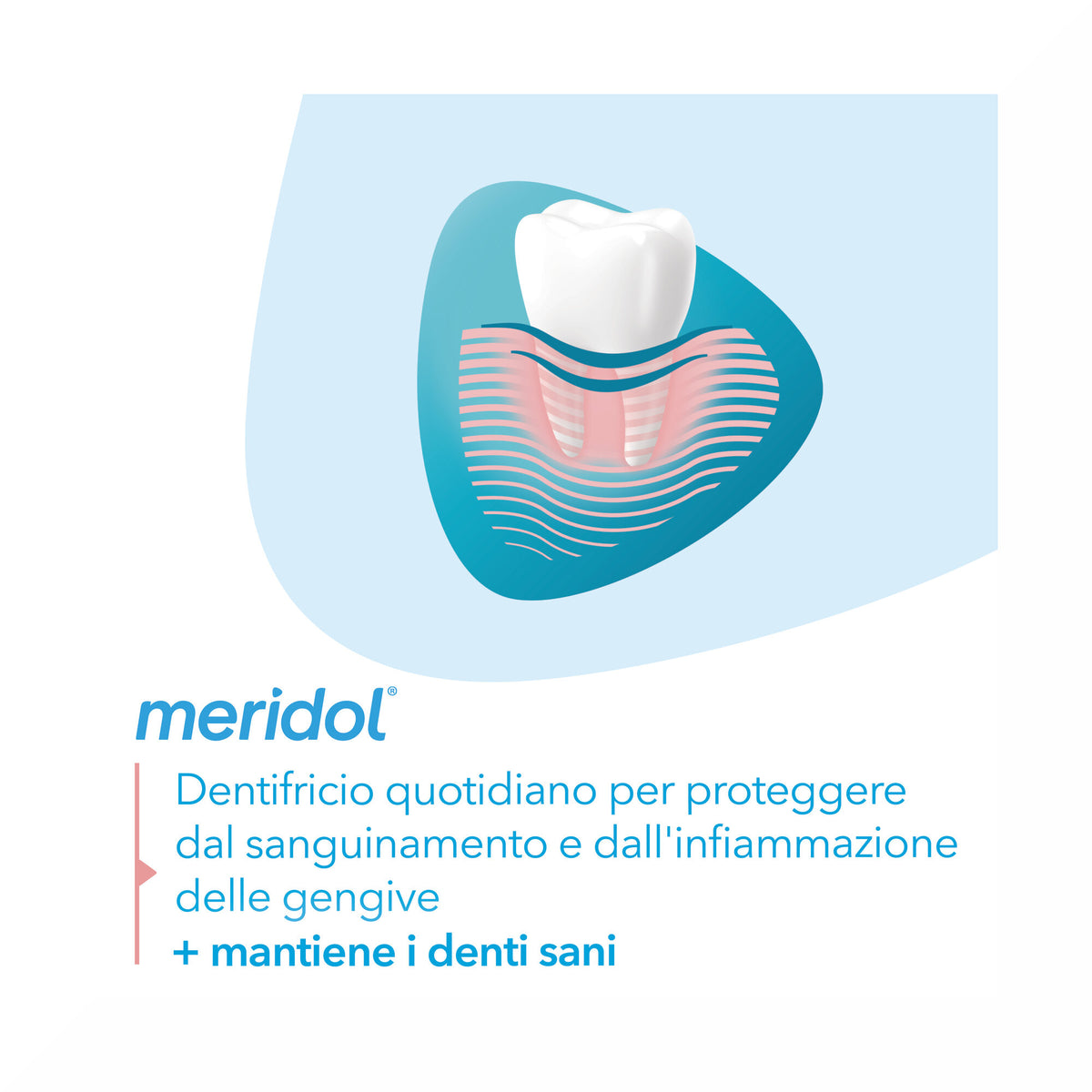 Meridol Dentifricio Protezione Gengive con Effetto Antibatterico 75ml-3