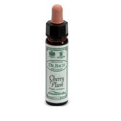 AINSWORTHS CHERRY PLUM 10ML-1
