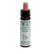 AINSWORTHS VINE 10ML-1