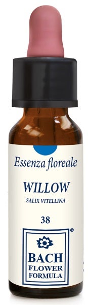WILLOW ORIGINAL 10ML GTT-1