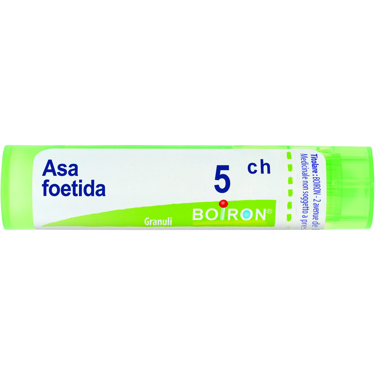 Boiron Asa Foetida 05Ch Tubo 80 Granuli 4g-1
