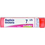 Boiron Baptisia Tinctoria 07Ch Tubo 80 Granuli 4g-1