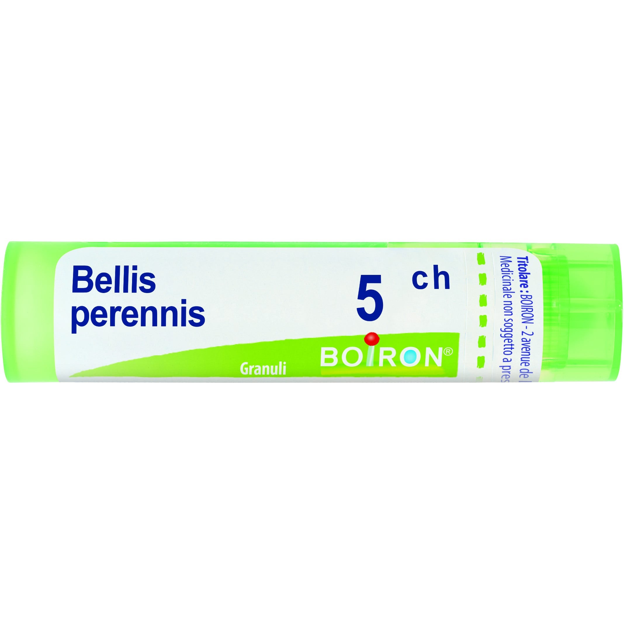 Bellis Perennis 05Ch Tubo 80 Granuli 4g-1