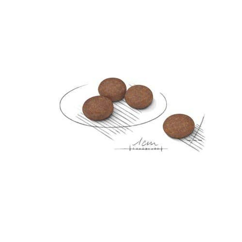 Royal Canin Digestive Care Crocchette Per Cani Mini Sacco 1kg-2