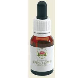 ROUGH BLUEBELL 15ML GTT-1