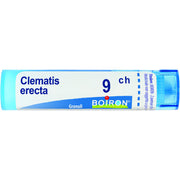 Boiron Clematis Erecta 09Ch Tubo 80 Granuli 4g-1