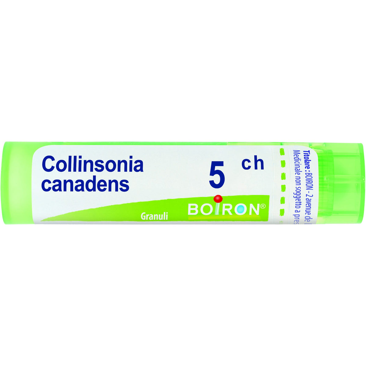 Boiron Collinsonia Canadensis 05Ch Tubo 80 Granuli 4g-1