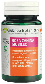 ROSA CANINA GIUBILEO 50CPS-1