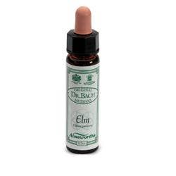AINSWORTHS ELM 10ML-1