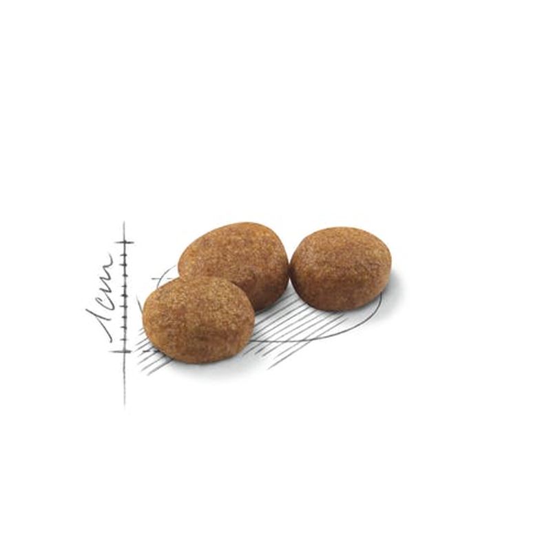 Royal Canin Sterilised 37 Crocchette Per Gatti Sterilizzati 400g-2