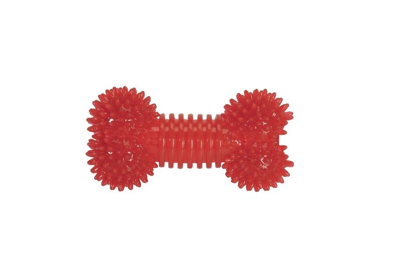 Camon Osso con punte e squeaker in TPR 16.5cm gioco per cani 1 pezzo-1