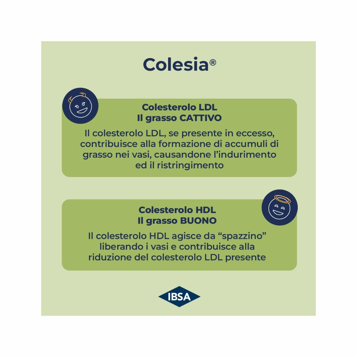 Colesia Per Il Metabolismo E Il Colesterolo 30 Capsule Molli-10