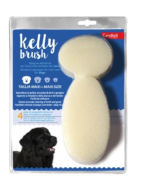 Candioli Kelly Brush Spugnetta Maxi 8 Pezzi-1