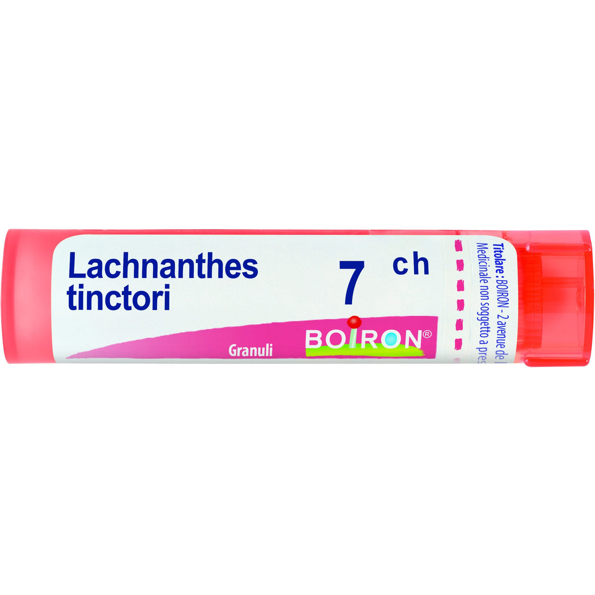 Boiron Lachnanthes Tinctoria 7Ch Tubo 80 Granuli-1