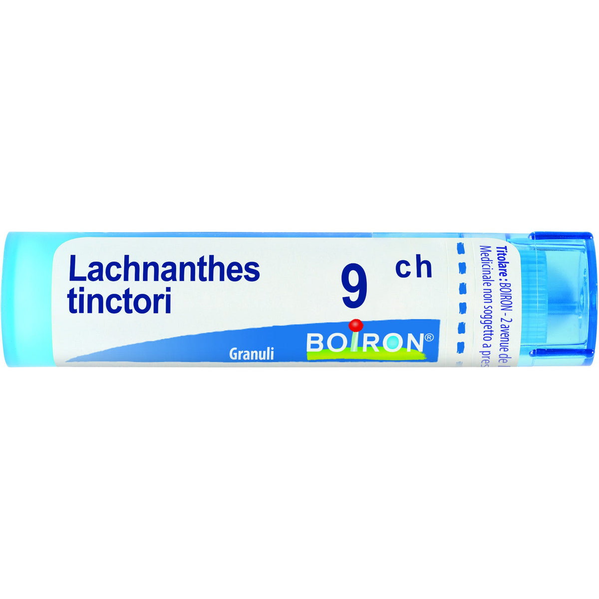 Boiron Lachnanthes Tinctoria 09Ch Tubo 80 Granuli-1