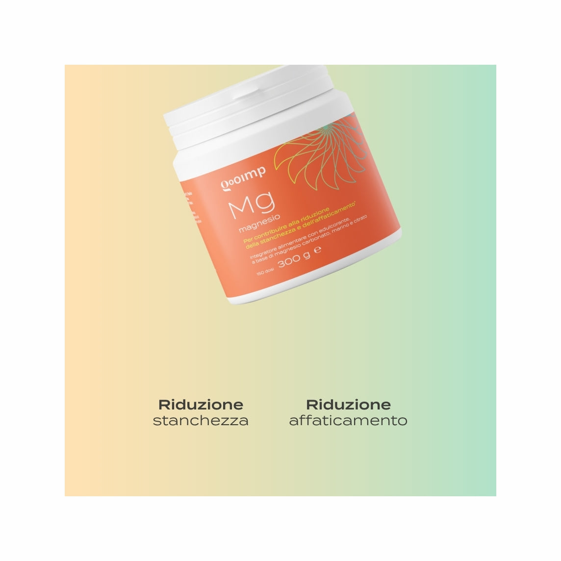 Gooimp Mg integratore di magnesio 300g-4