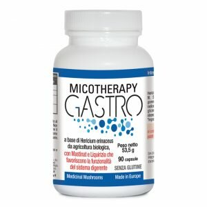 AVD Micotherapy Gastro per il sistema digerente 90 capsule-2
