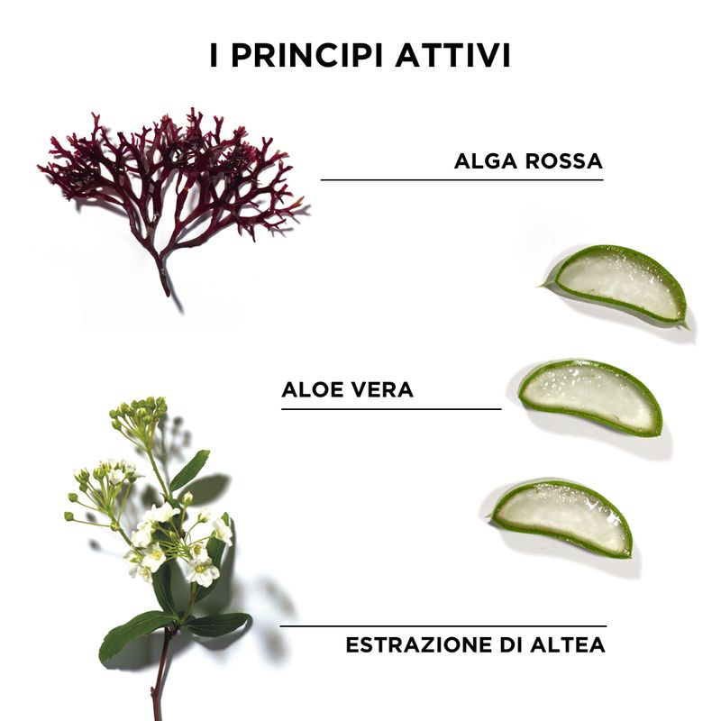 Phyto Phytodefrisant Trattamento Ritocco Anti-Crespo Per Capelli Crespi 50 ml-3