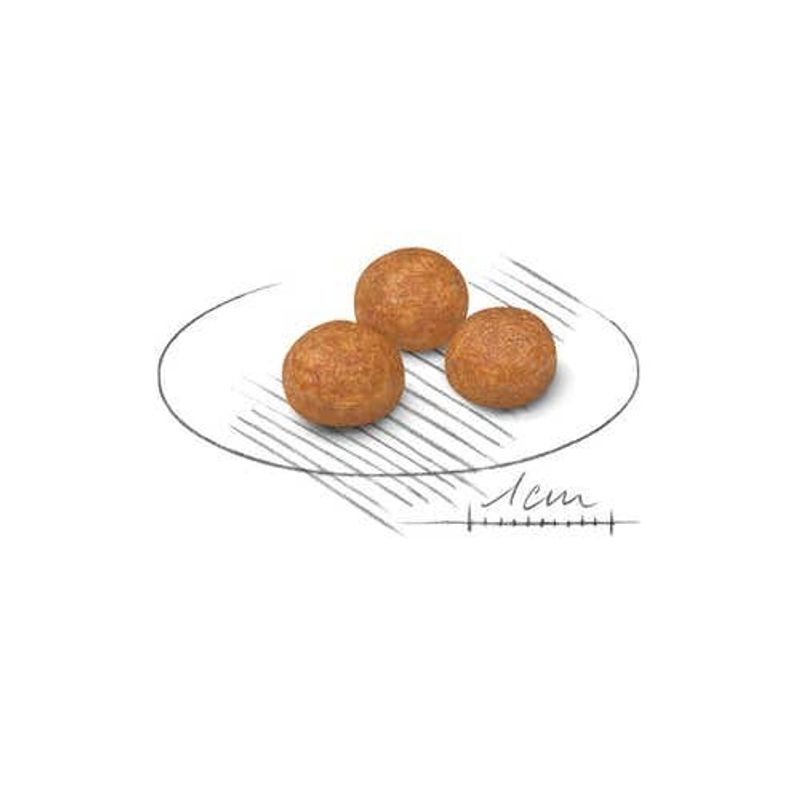 Royal Canin Crocchette Cane Extra Small Adult 1,5kg-2