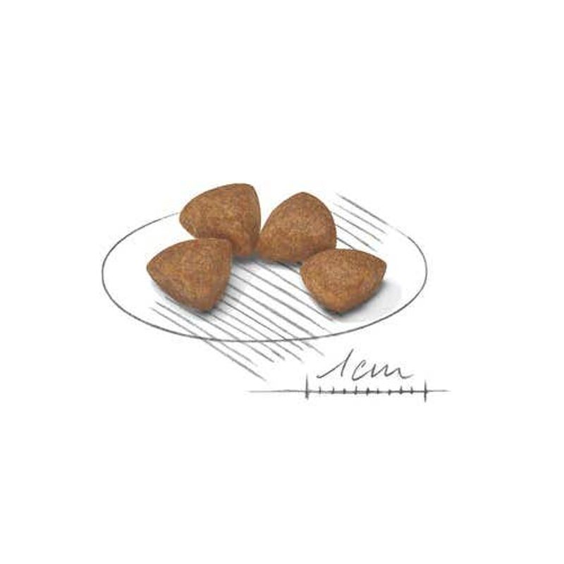 Royal Canin Crocchette Cane Extra Small Puppy 1,5kg-2