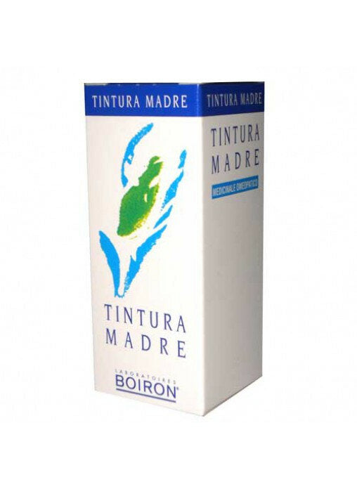 Betula Alba 60ml Tintura Madre-2