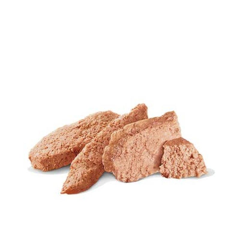 Royal Canin Diet Hypoallergenic Patè Per Cani 400g-2