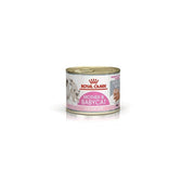 Royal Canin Mother And Baby Cat Umido Per Gatti Morbido Pate' Lattina 195g-1